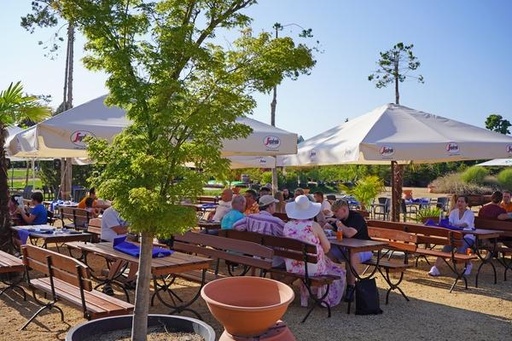 Griechischer Sommer im Palmengarten - 19. Juli 2025 Tagesticket